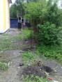 /album/oploceni-frydek-mistek/a290520103371-jpg/