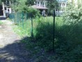 /album/oploceni-frydek-mistek/a290620101700-jpg/
